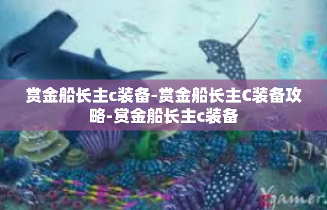 赏金船长主c装备-赏金船长主C装备攻略-赏金船长主c装备