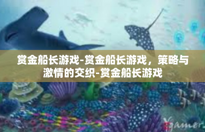赏金船长游戏-赏金船长游戏，策略与激情的交织-赏金船长游戏