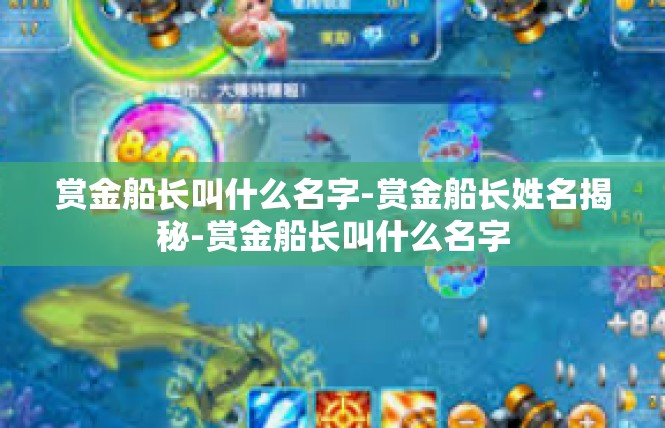 赏金船长叫什么名字-赏金船长姓名揭秘-赏金船长叫什么名字