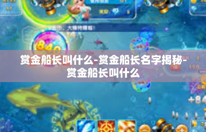赏金船长叫什么-赏金船长名字揭秘-赏金船长叫什么