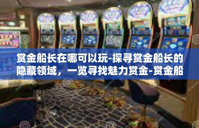 赏金船长在哪可以玩-探寻赏金船长的隐藏领域，一览寻找魅力赏金-赏金船长在哪可以玩