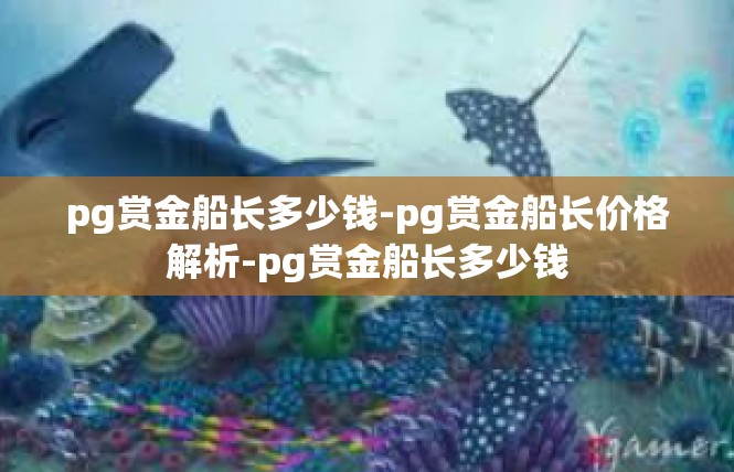 pg赏金船长多少钱-pg赏金船长价格解析-pg赏金船长多少钱