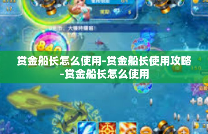 赏金船长怎么使用-赏金船长使用攻略-赏金船长怎么使用