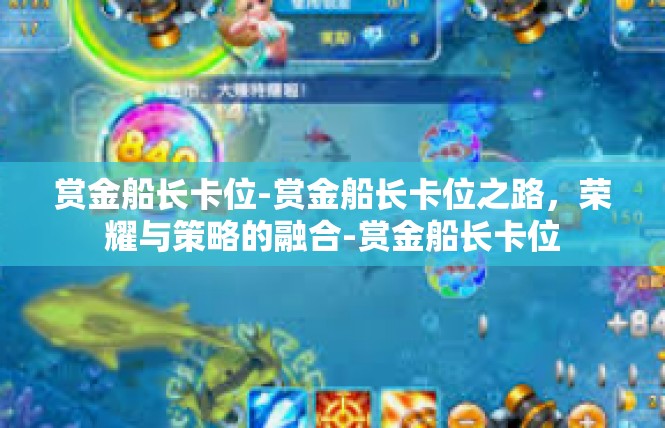 赏金船长卡位-赏金船长卡位之路，荣耀与策略的融合-赏金船长卡位