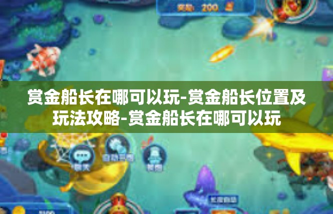 赏金船长在哪可以玩-赏金船长位置及玩法攻略-赏金船长在哪可以玩