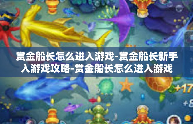 赏金船长怎么进入游戏-赏金船长新手入游戏攻略-赏金船长怎么进入游戏